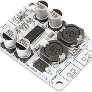 TPA3110 Mono Channel Digital Amplifier Board – 30W Power Module