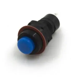 Blue DS-211 10MM 2PIN Self-Locking Round Button Switch